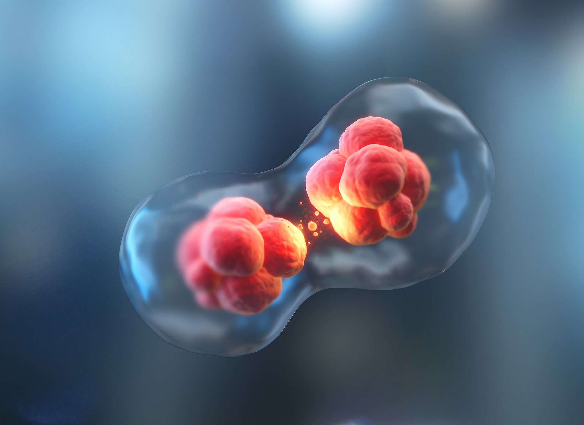 Biologie obrácená naruby: Dva živočišné druhy zamotaly vědcům hlavu