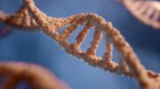Vědci už umí upravit geny člověka. Nepřímá evoluce má ale jednu zásadní nevýhodu