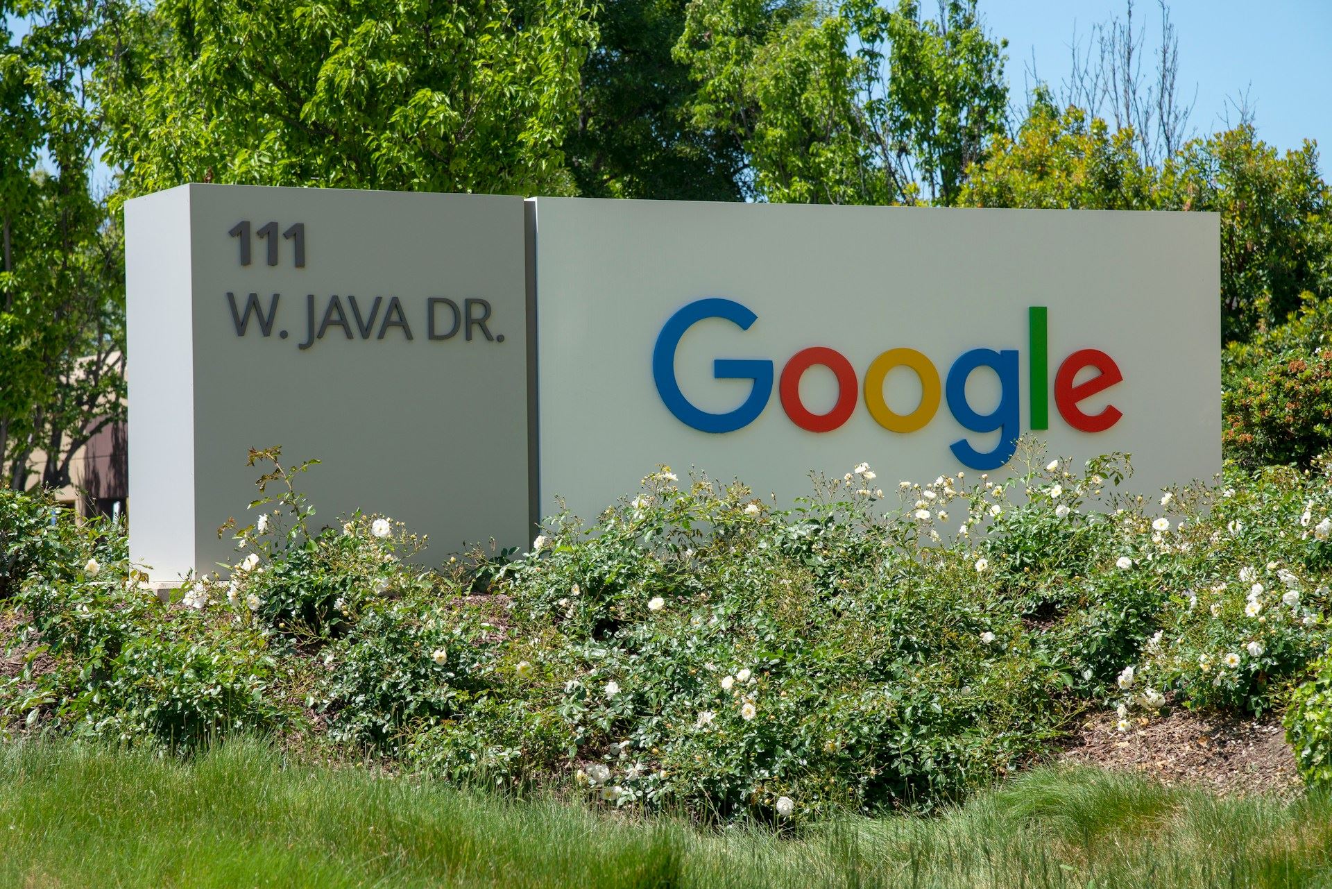 Google možná začne v lednu propouštět, tvrdí příspěvky na online fóru