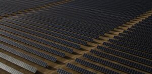 Vědci využili ovce k analýze účinnosti solární energie. Výsledek je překvapivý