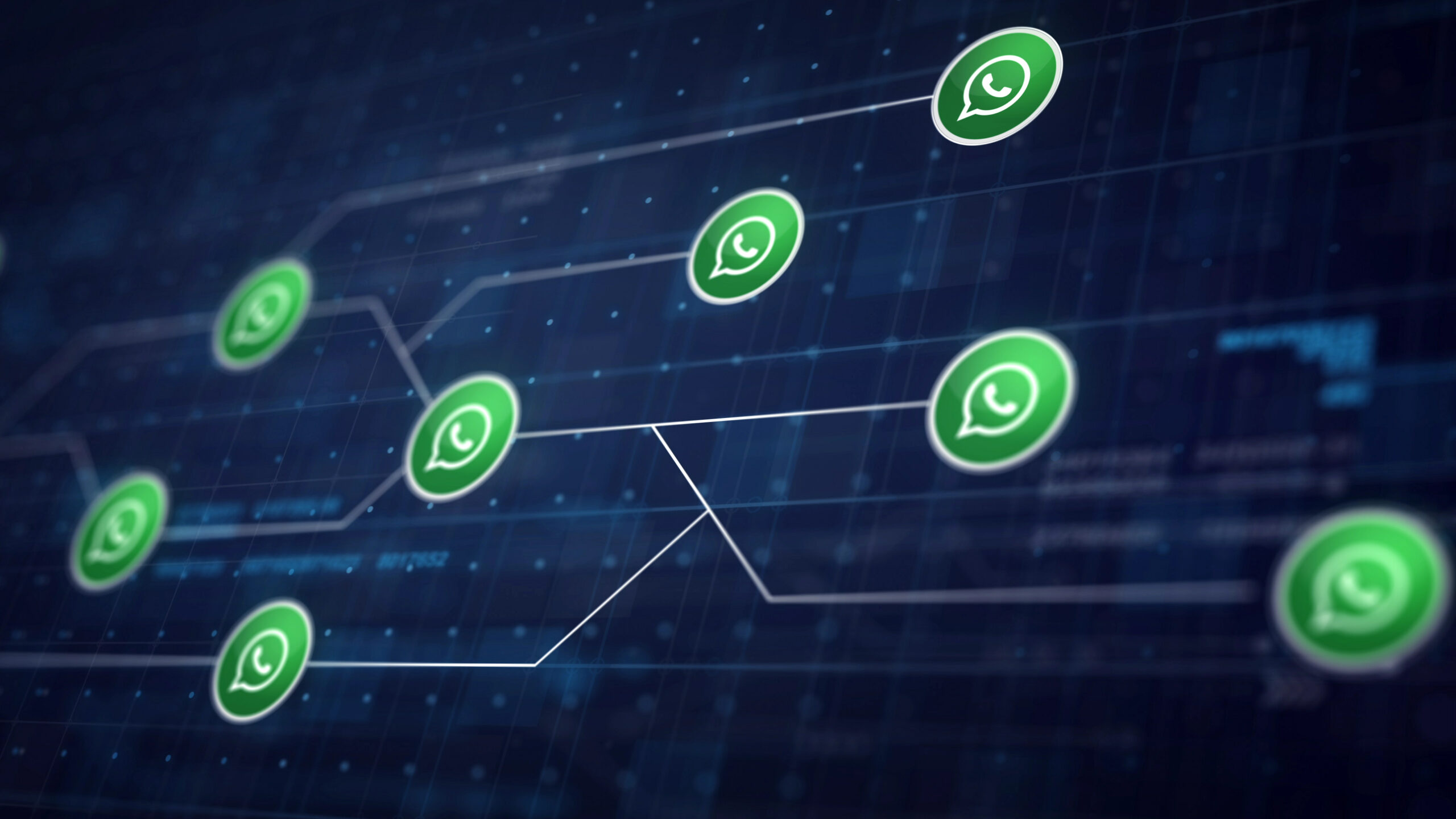 Modrý kruh WhatsApp pod drobnohledem: Legálnost a soukromí Meta AI