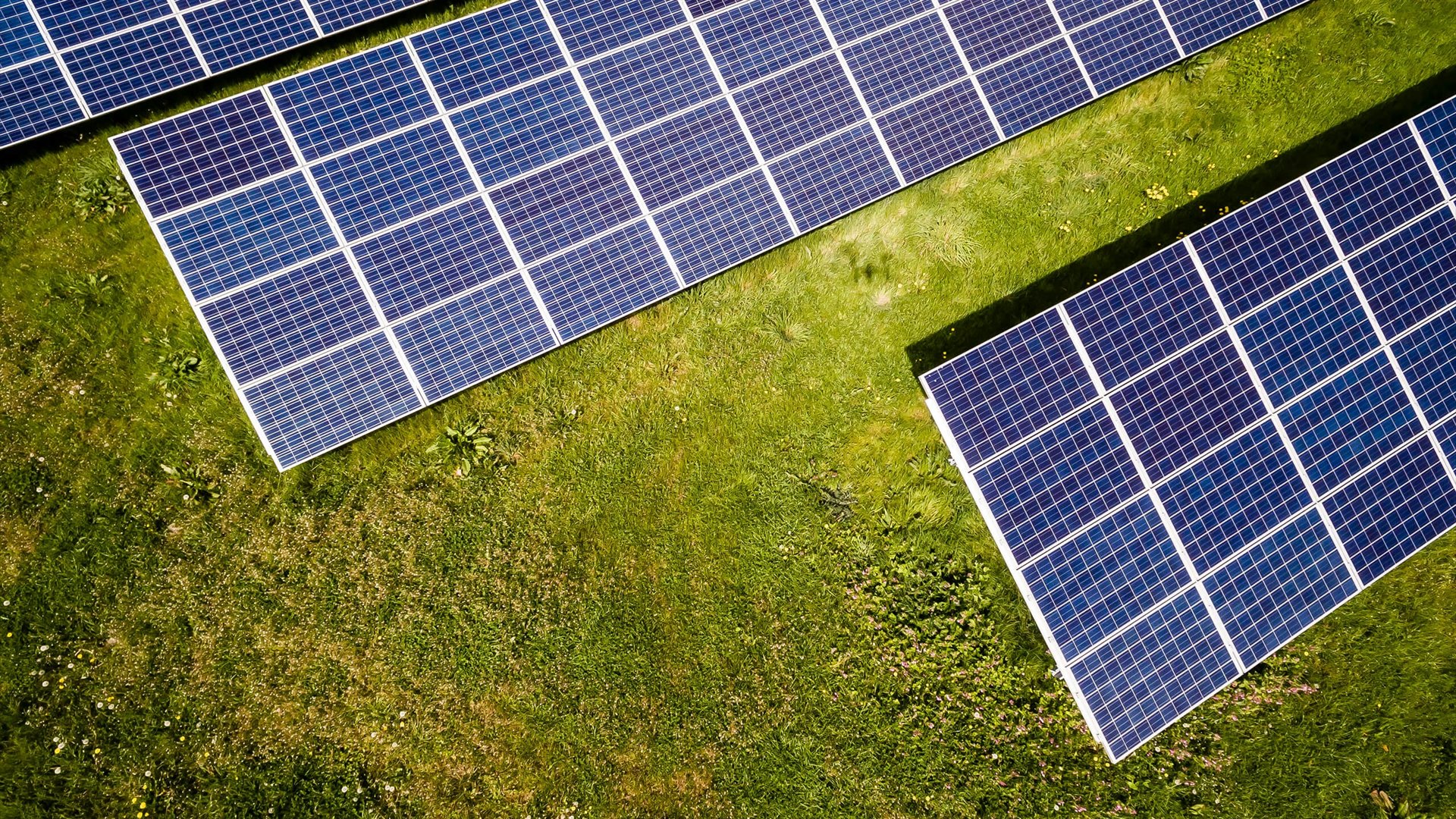 První solární plot na světě překonává výkonem fotovoltaiku