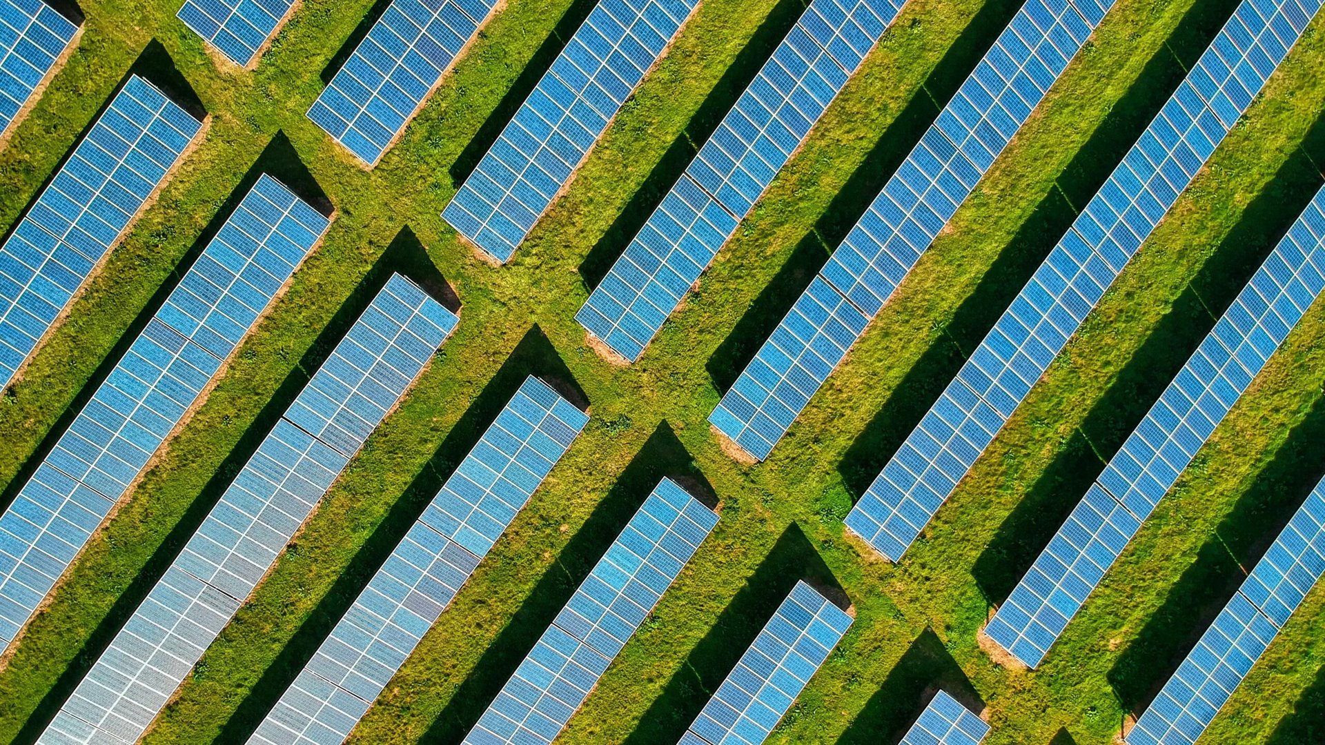 Podivný solární panel připomíná živý list. Přírodu ale zatím nepřekoná