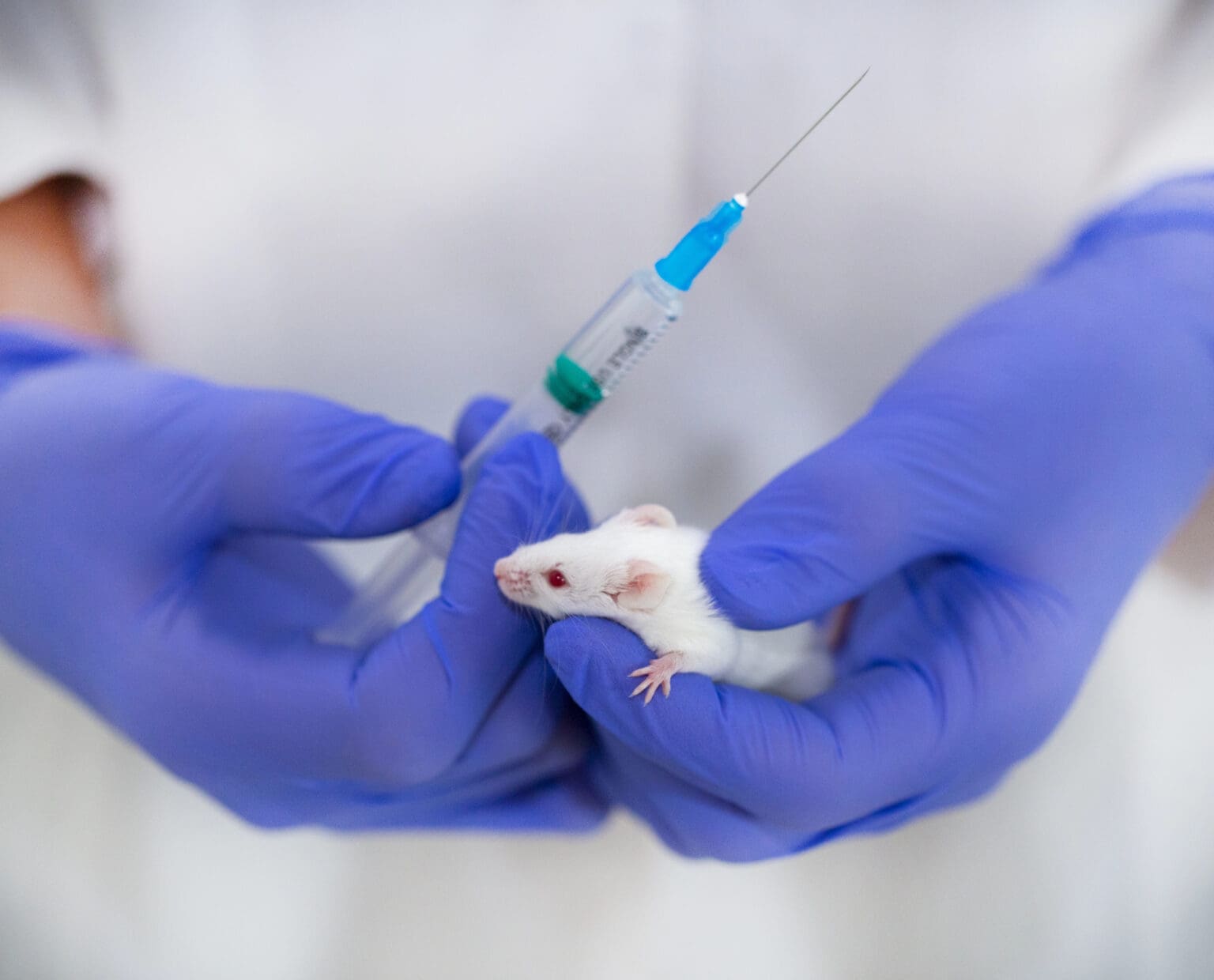 Vědci dokázali přinutit myší játra k výrobě Ozempicu a dalších léků