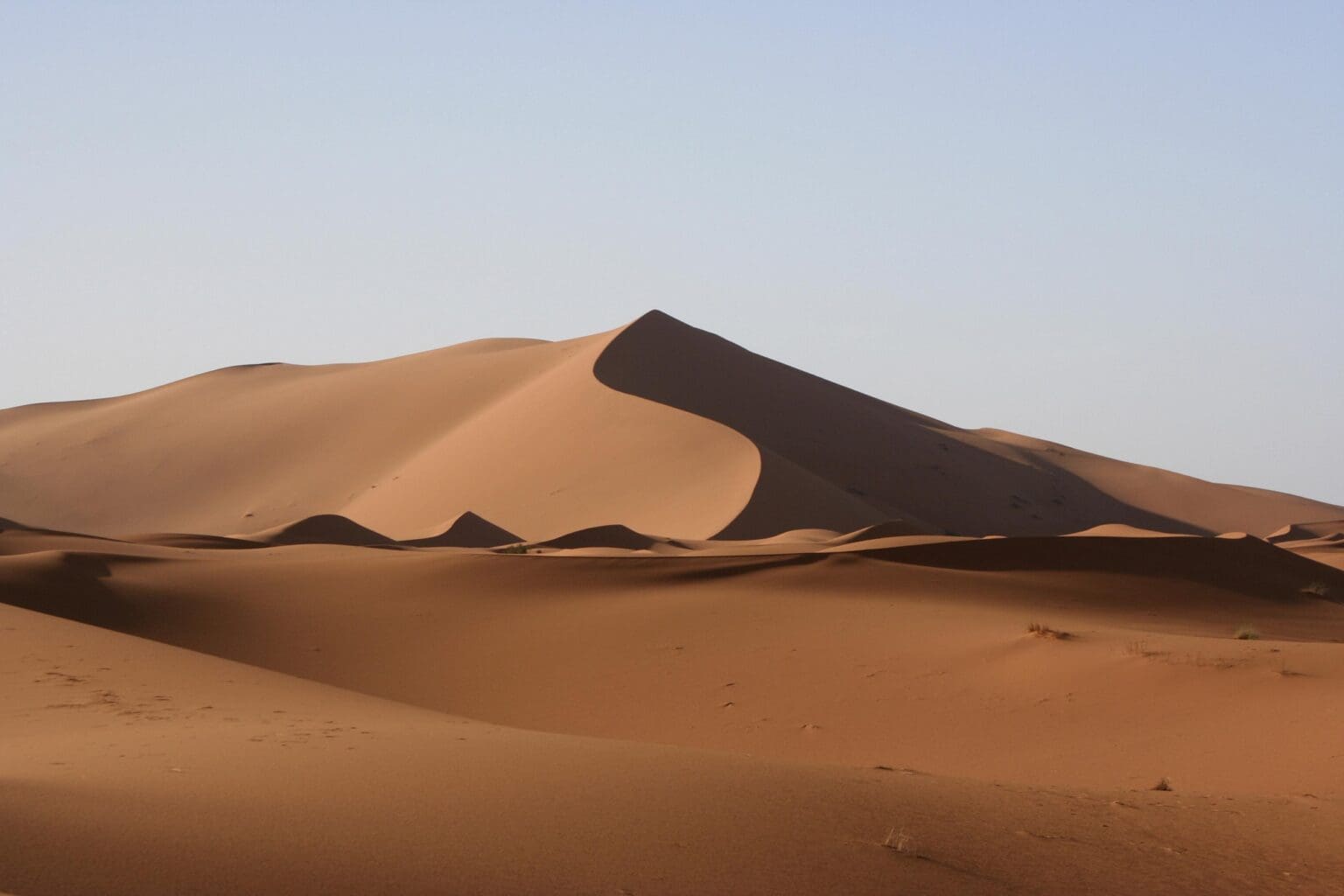 Pradávný predátor dostal jméno podle vzdáleného příbuzného z Hvězdných válek