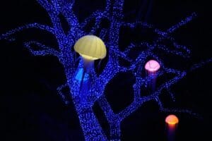 Skrytá hrozba z moře: Ve Středozemí se objevila mikrořasa produkující toxiny