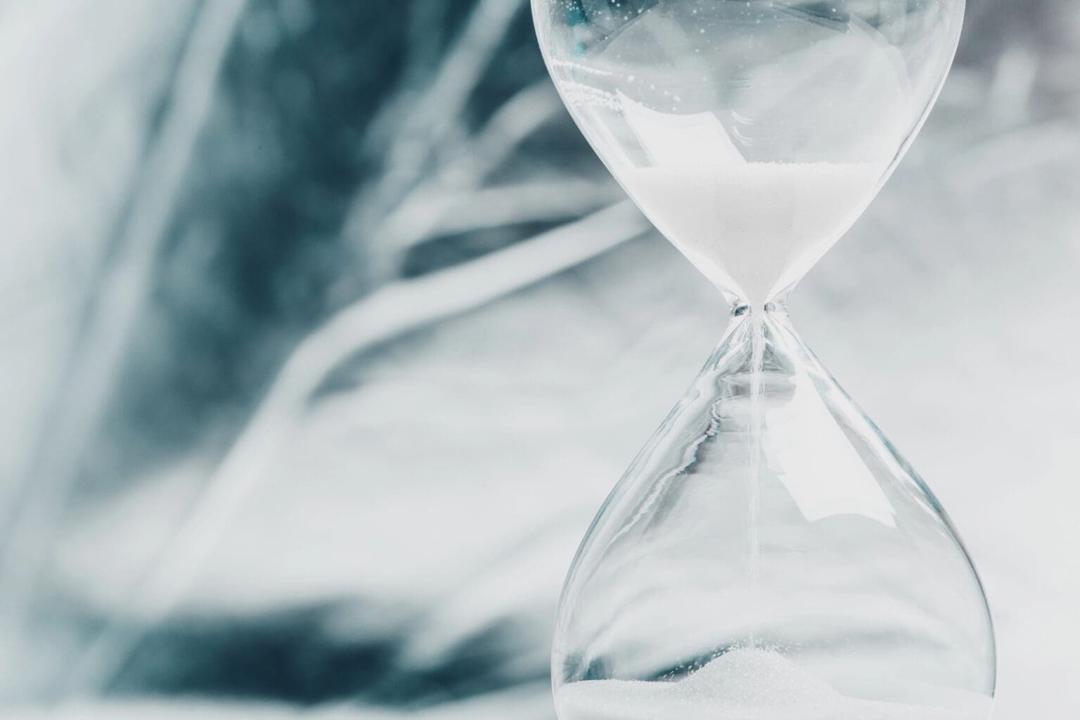 Takto vypadá zhmotnění času. A příroda ho používá proti nám