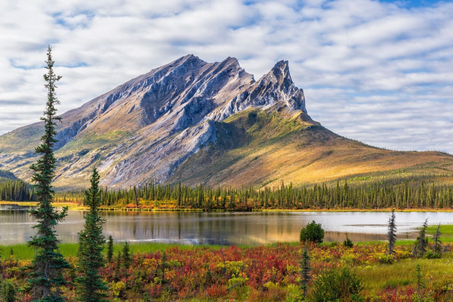 Řeky mění barvu. A s nimi i celý potravní řetězec