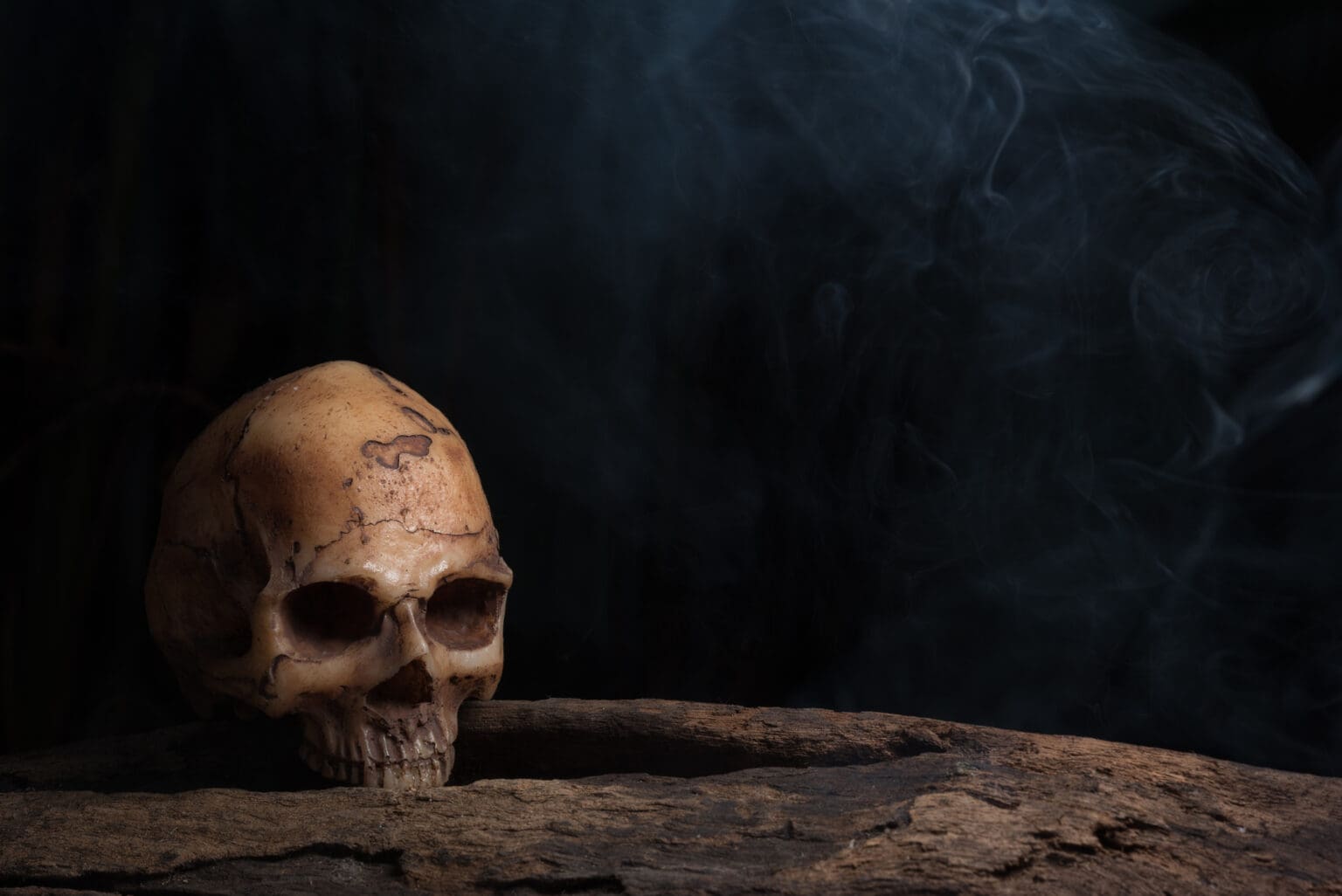 Češi stále věří, že kolébkou lidstva je Afrika. Nový objev vás vyvede z omylu