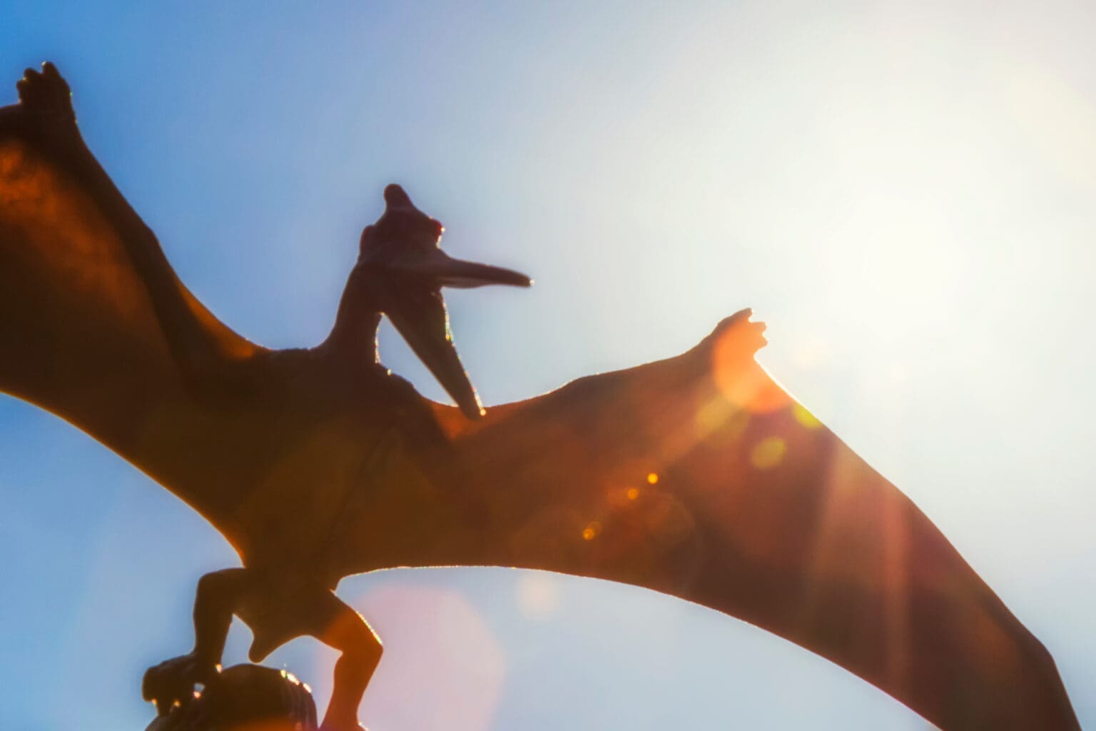 Vědci vypátrali záhadu tragického umrtí starou 150 milionů let