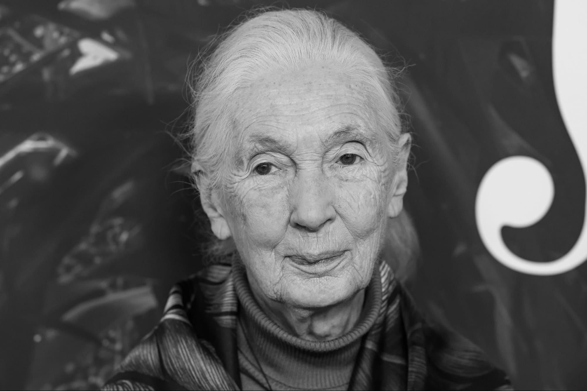Jane Goodallová změnila svět. A vědci jí to měli za zlé