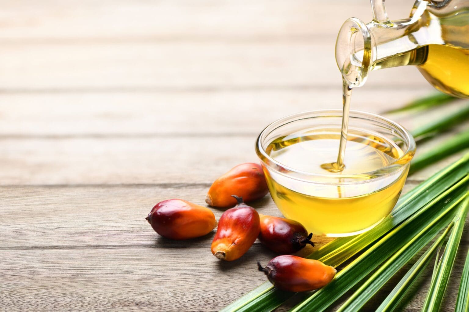 Kontroverzní, ale možná ne škodlivý: Palmový olej ve světle nové vědy