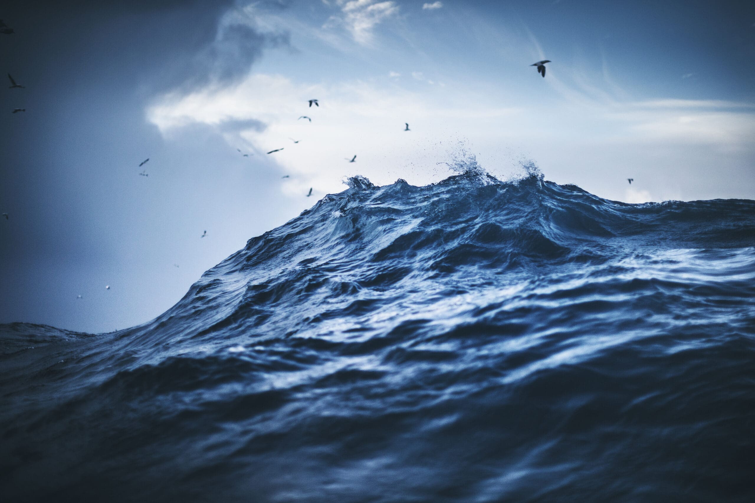 Škeble z Islandu odhalila tajemství oceánů. A možná i budoucnost Evropy