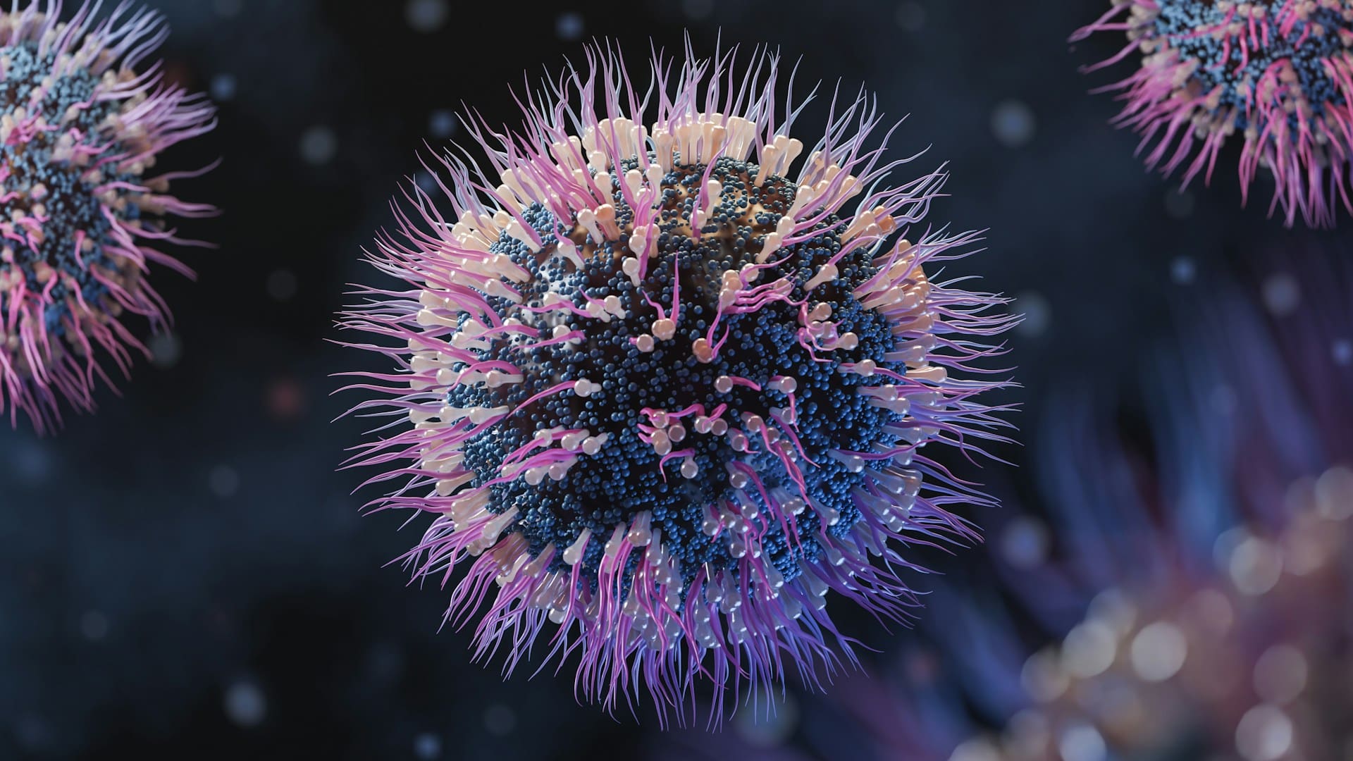 Čechům uniká zásadní detail. Kvůli špinavé pračce si mnohdy ničí zdraví