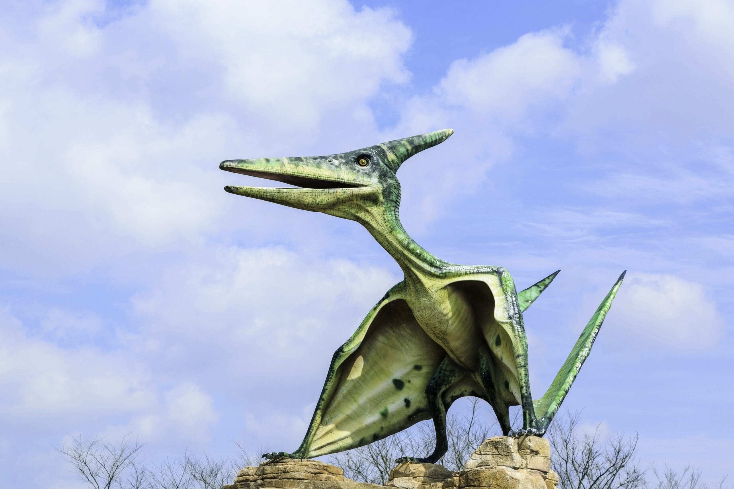 Kosti staré 150 milionů let odhalily hrůzný konec pterosaurů