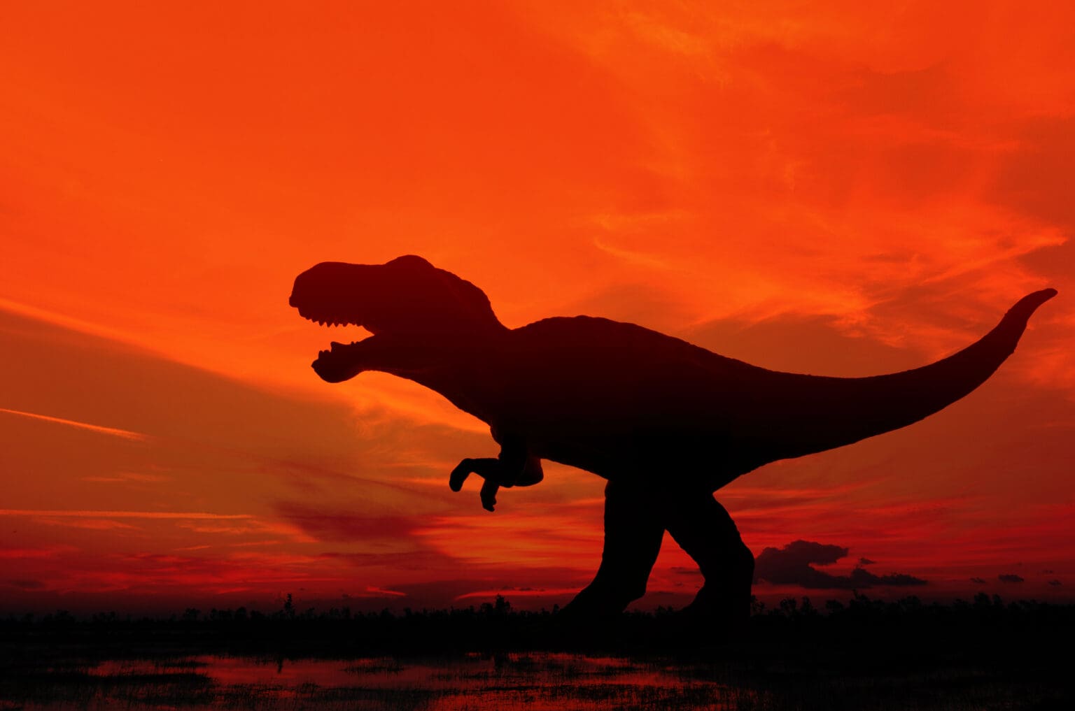 Rychlý, hbitý a nepochopený: Nanotyrannus konečně prohlášen samostatným druhem