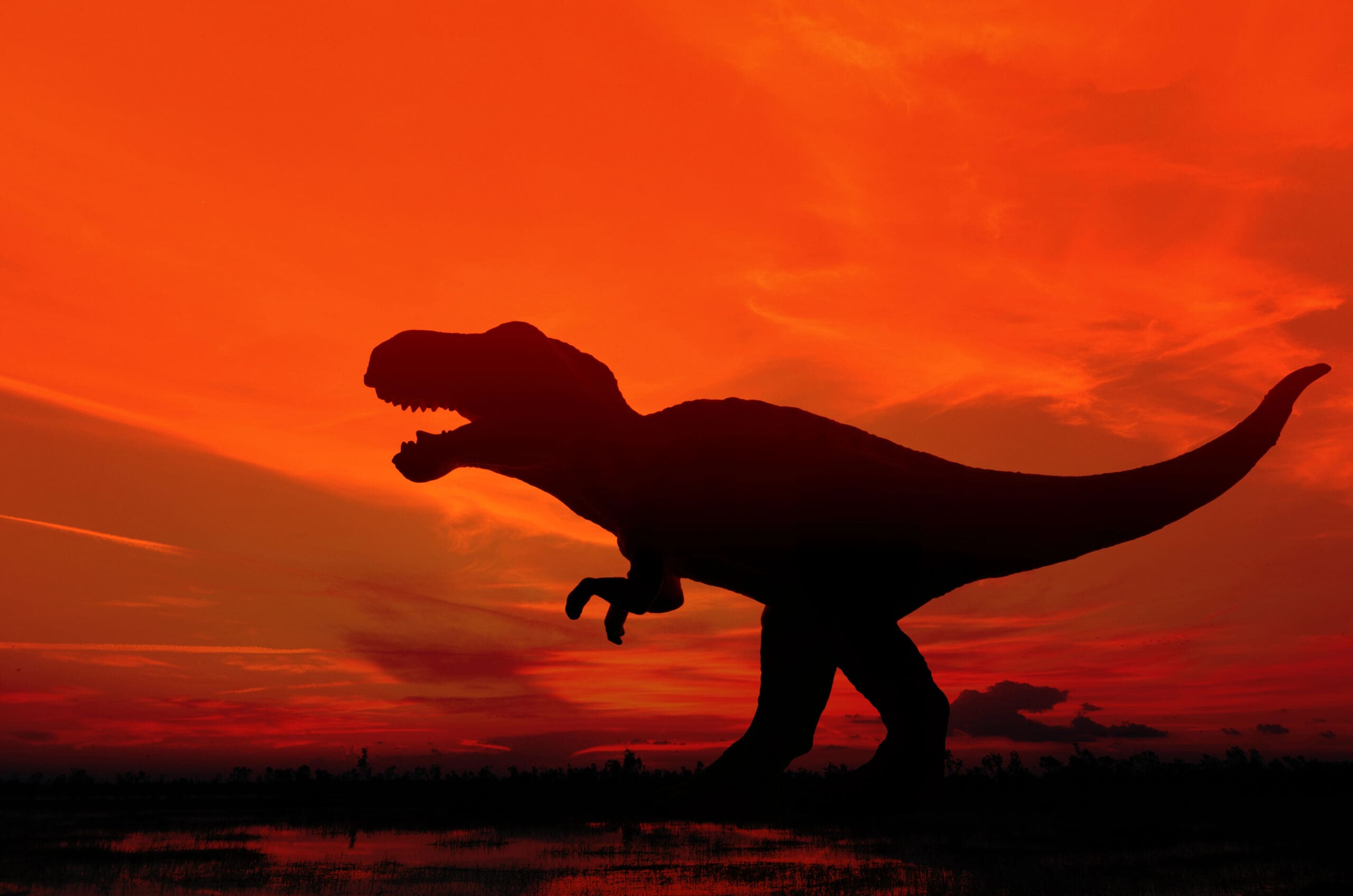 Rychlý, hbitý a nepochopený: Nanotyrannus konečně prohlášen samostatným druhem