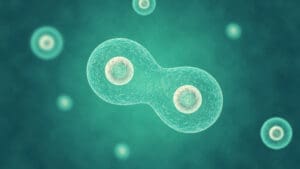 Naše DNA odhalila pravdu: Lidské buňky by bez obřích virů vůbec nevznikly