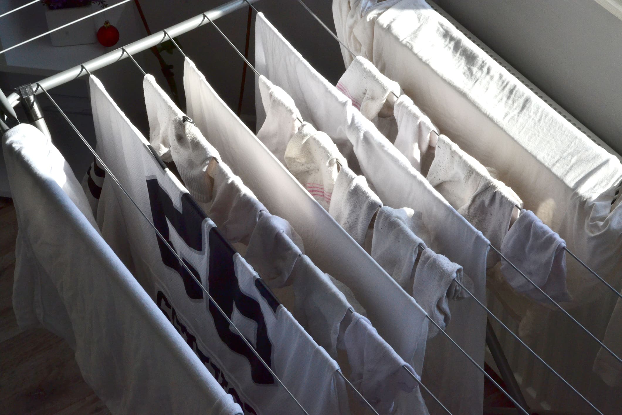 Zápach, vlhkost, plísně? Řešení stojí pár korun a máte ho doma