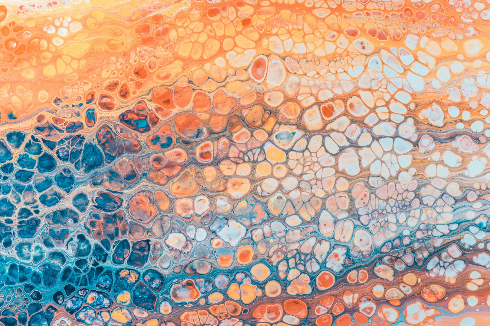 Revoluce v biologii: Vědci našli jednoduchý klíč k obnově tkání