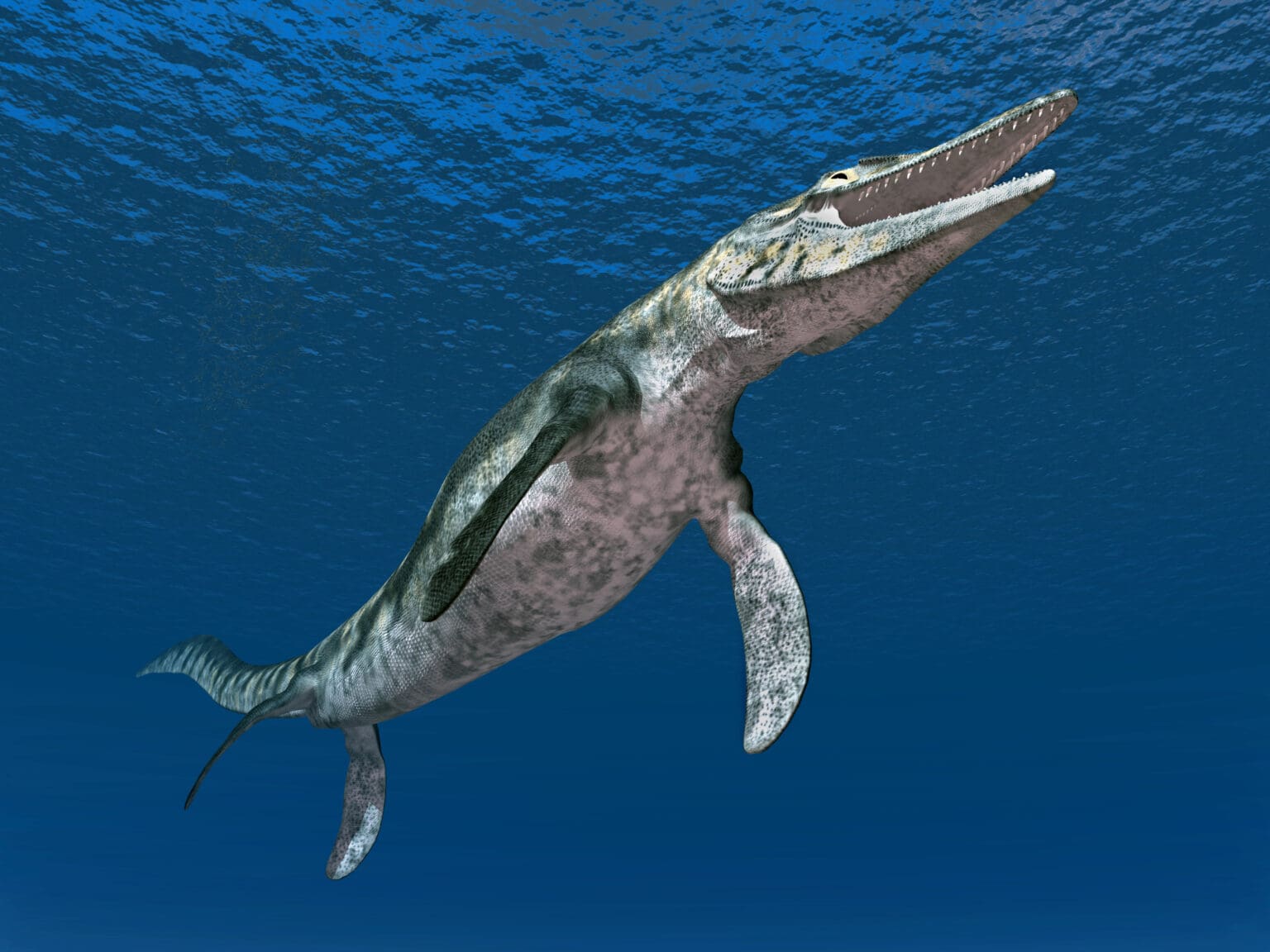 Děs z hlubin řeky: Mosasaurus, který nelovil v moři, ale v řece