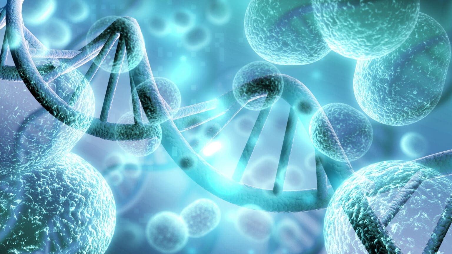 Imunita po padesátce slábne. Tohle by ji mohlo znovu nastartovat