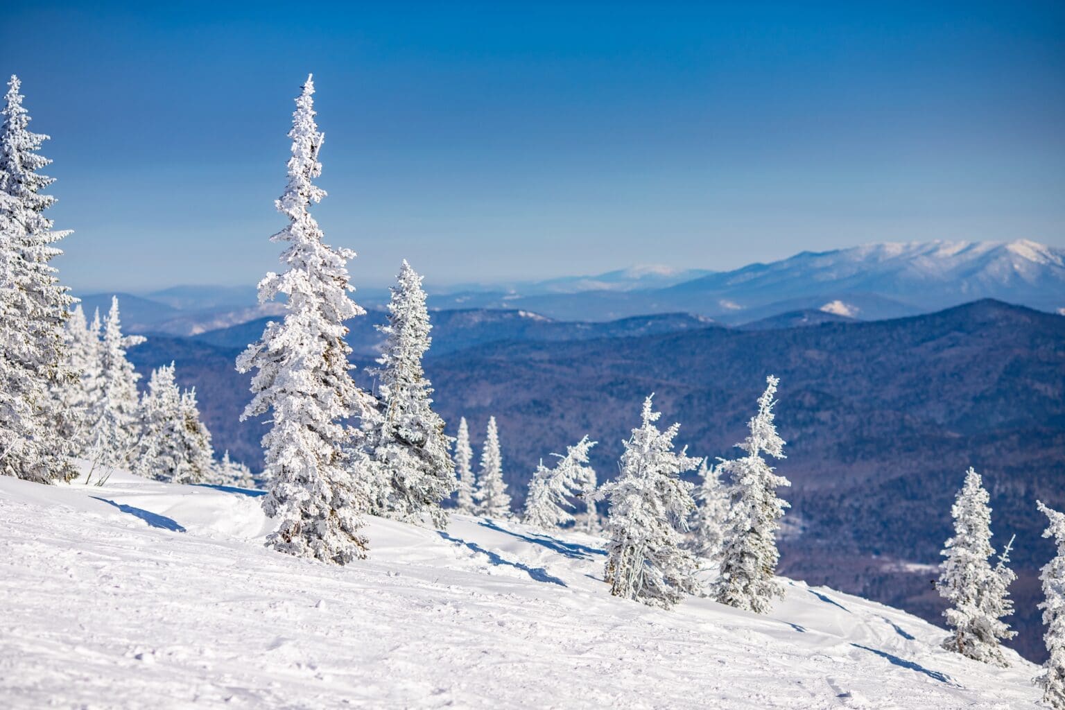 42 let v izolaci: Skutečný příběh ruské rodiny, která unikla civilizaci
