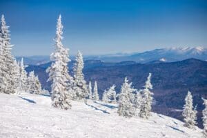 42 let v izolaci: Skutečný příběh ruské rodiny, která unikla civilizaci