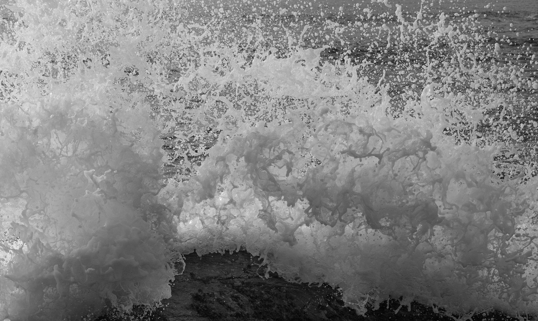 Tuny mořské vody míří do USA. Češi o tom skoro neslyší, ale důsledky nás doženou