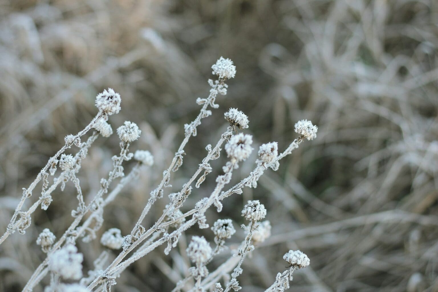Českou republiku čeká další krušná noc. Nejhůře na tom bude jih Čech