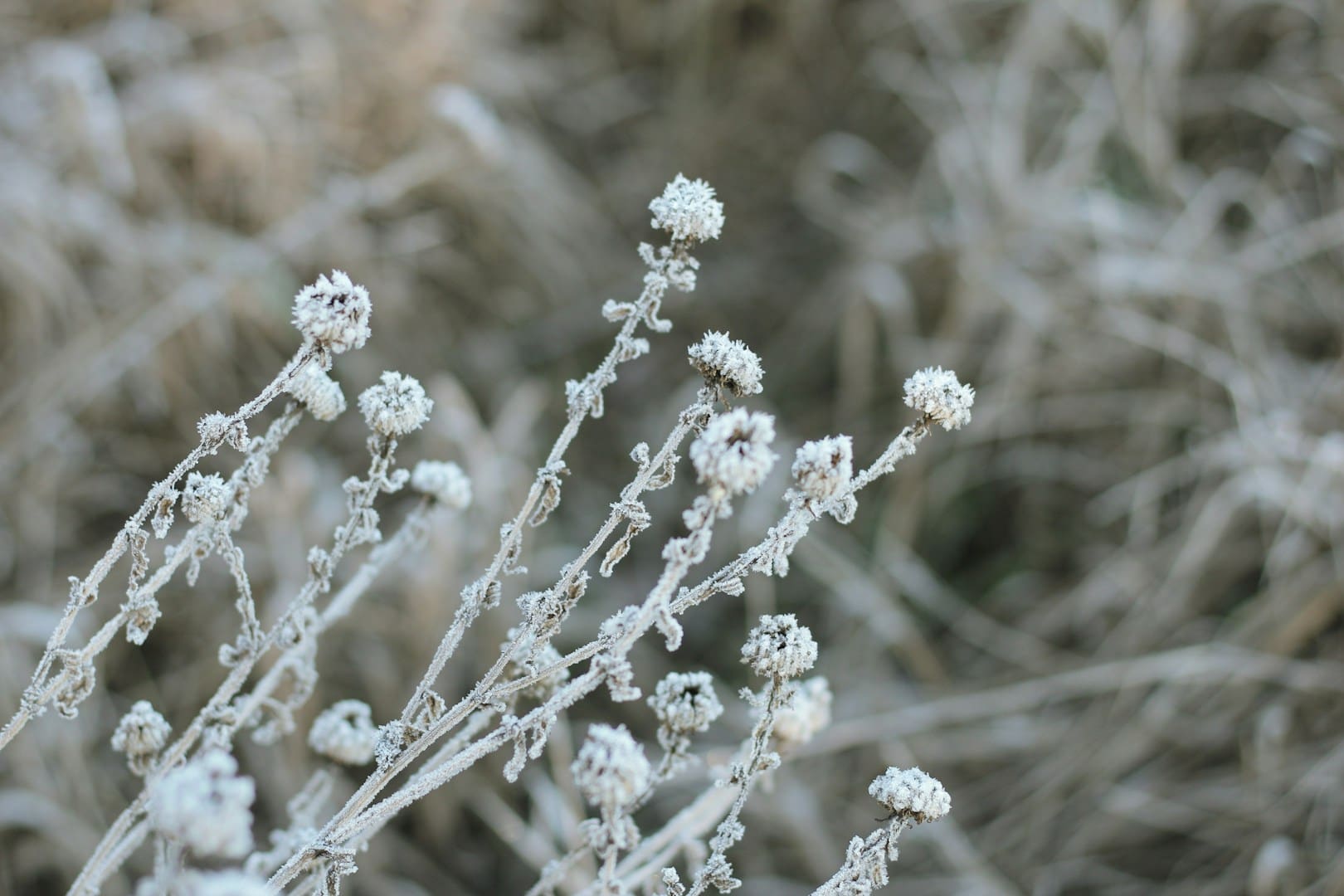 Českou republiku čeká další krušná noc. Nejhůře na tom bude jih Čech