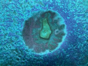 Myslíte si, že vás ohrožují viry? Přehlížíte skutečný problém, bijí na poplach vědci