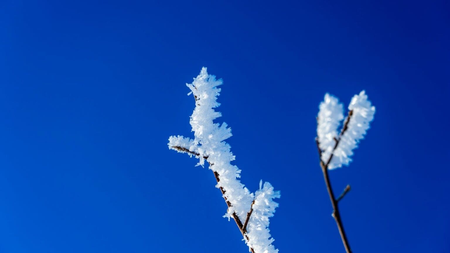 Dnes v noci mrazy v Česku zesílí: Teploty klesnou k -10 °C, místy hrozí vítr až o síle 70 km/h