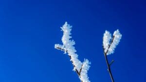 Dnes v noci mrazy v Česku zesílí: Teploty klesnou k -10 °C, místy hrozí vítr až o síle 70 km/h