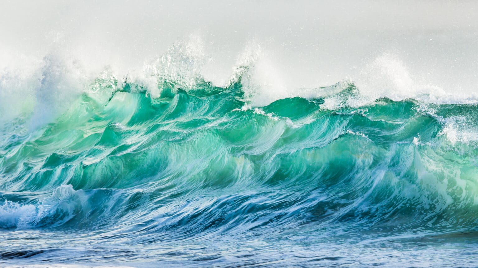 Ryby mizí, řasy chřadnou. Oceán se zahřívá a nevrací se zpět. A Japonsko to začíná cítit jako první