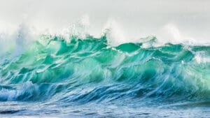 Ryby mizí, řasy chřadnou. Oceán se zahřívá a nevrací se zpět. A Japonsko to začíná cítit jako první