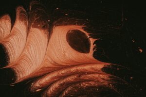 Před 500 miliony let plaval po dně čtyřoký tvor. Dnes pomáhá chápat náš zrak