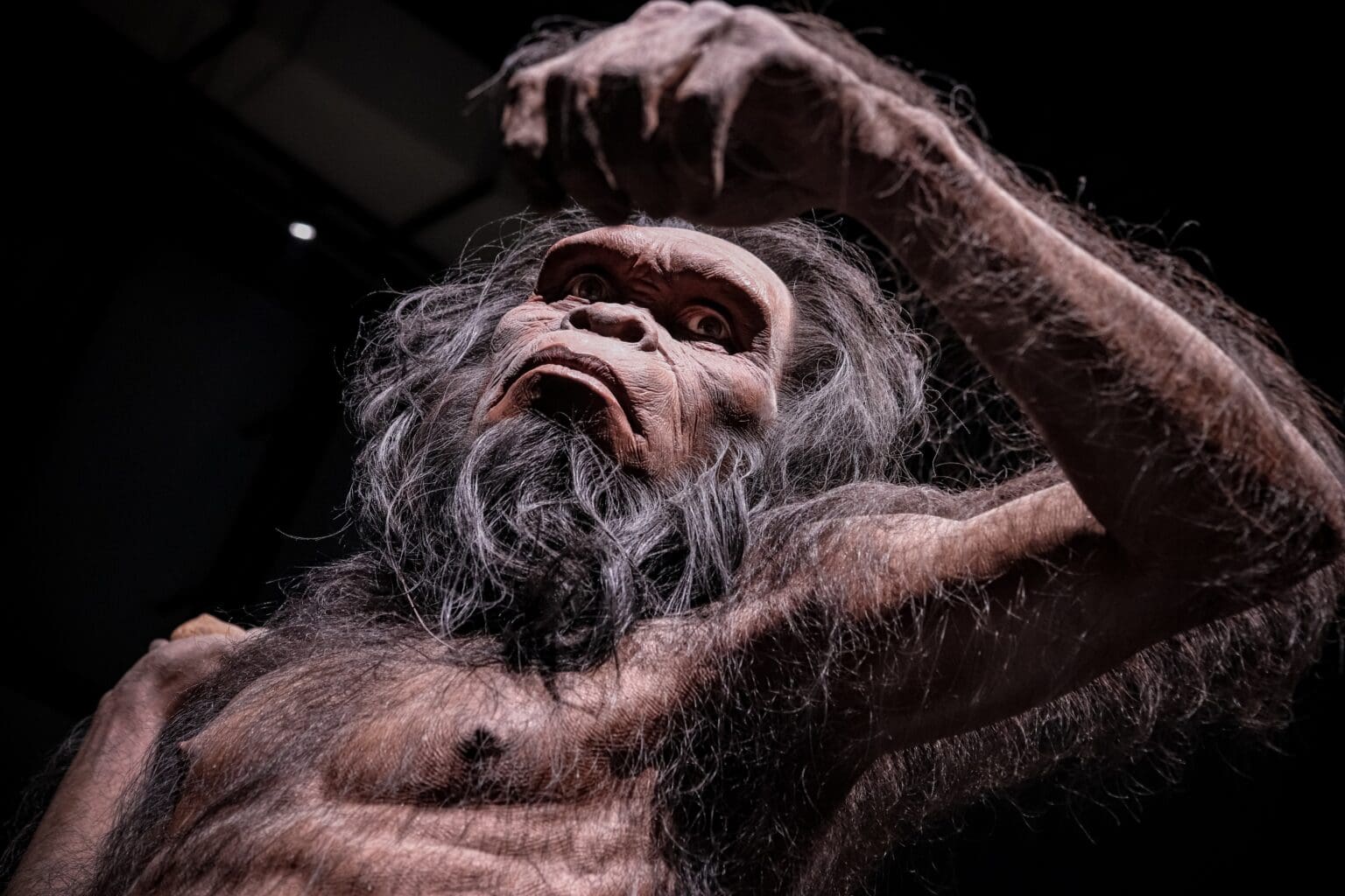 Nález z Číny přepisuje historii: Homo erectus mohl dorazit do Asie o 600 000 let dříve