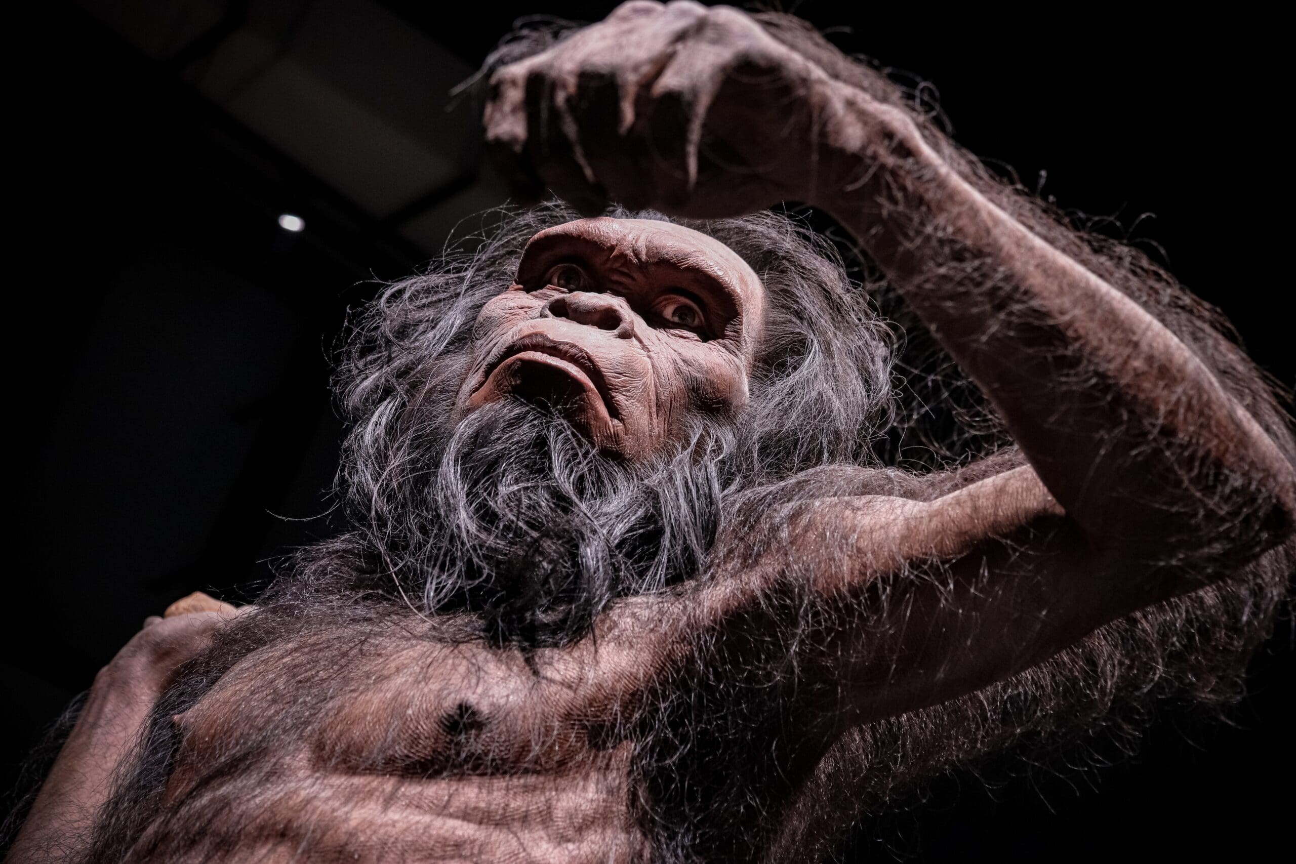 Nález z Číny přepisuje historii: Homo erectus mohl dorazit do Asie o 600 000 let dříve