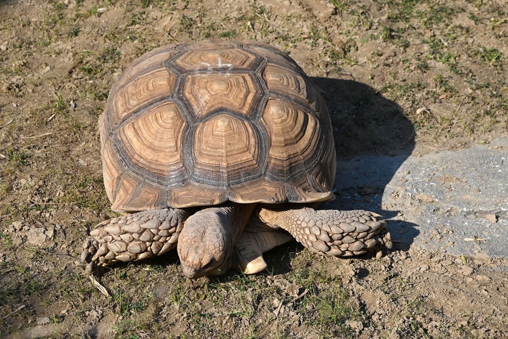 LIFE is COLOR / Shutterstock