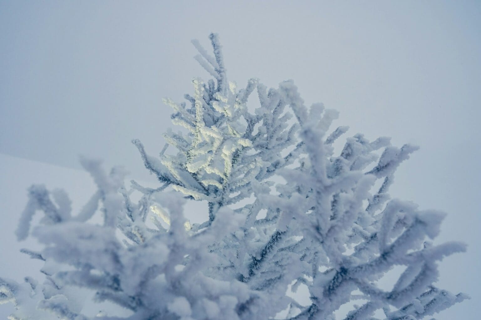 Tohle počasí Češi často ignorují. V úterý 3. února se vám to může vymstít, varuje ČHMÚ