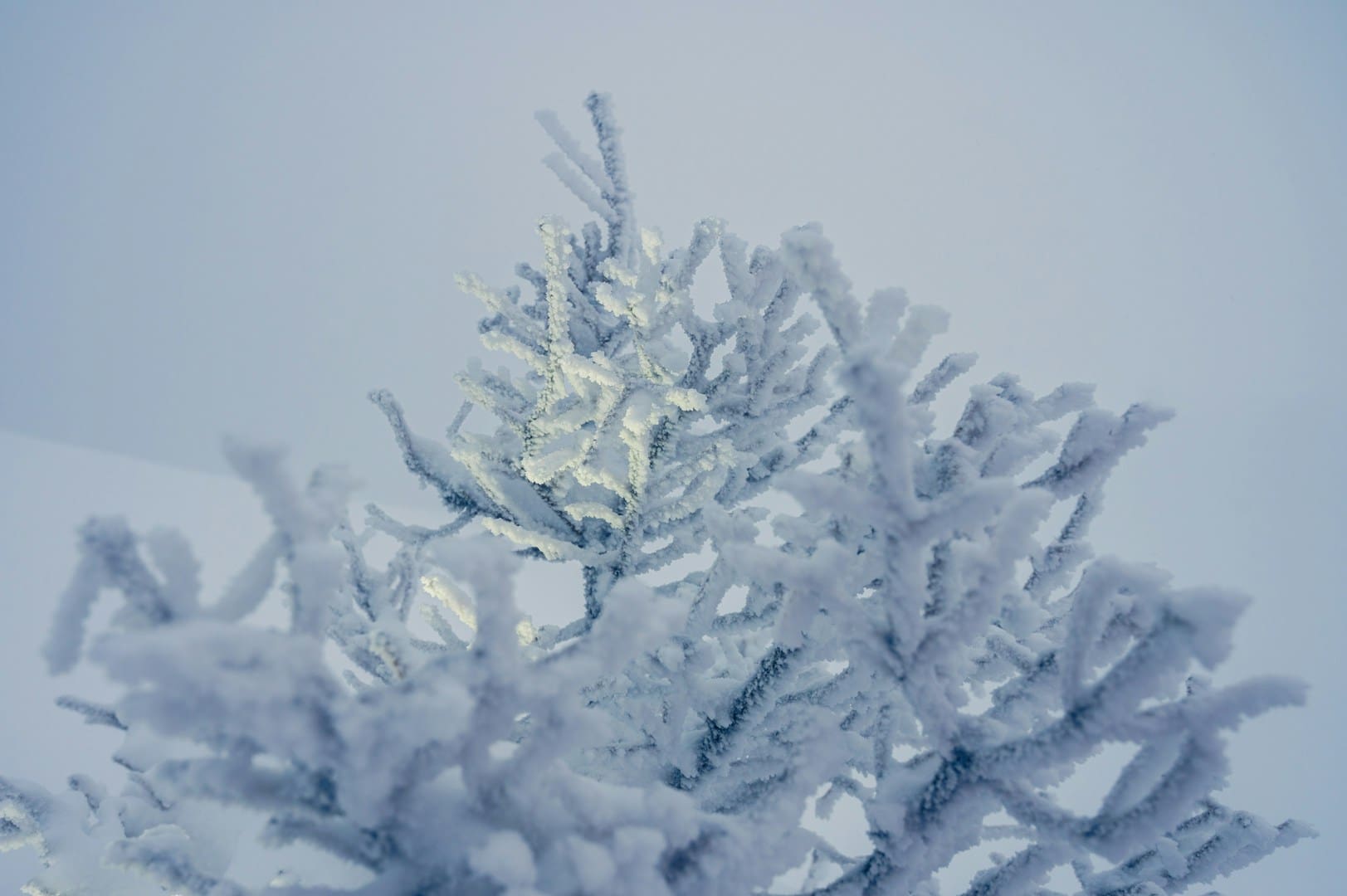 Tohle počasí Češi často ignorují. V úterý 3. února se vám to může vymstít, varuje ČHMÚ