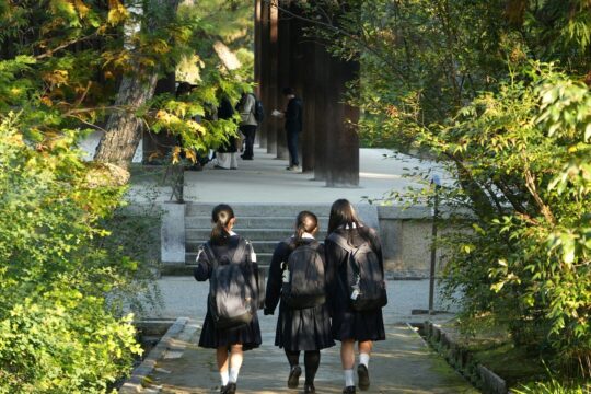 Matika jako videohra? VTuberé ovládnou japonské školství za zlomek ceny