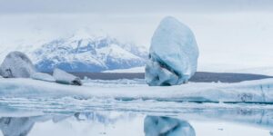 Přepisujeme dějiny savců, fosilie z polárního kruhu odhalila zapomenutý pevninský most