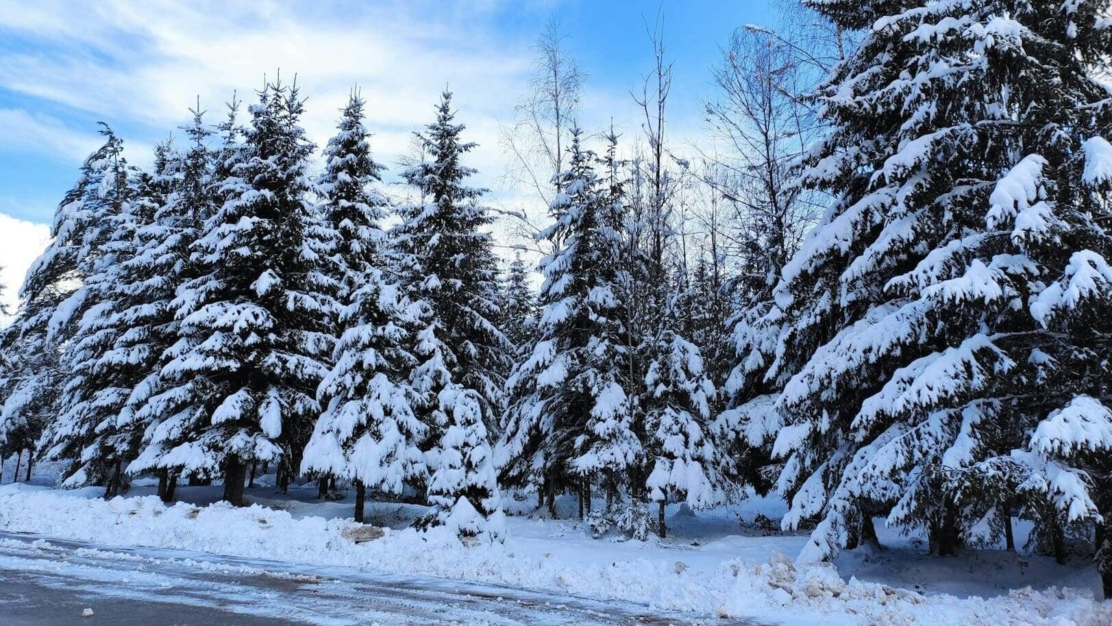 Metr sněhu na horách a teploty k nule: Studená fronta ve čtvrtek otočí počasí o 180 stupňů