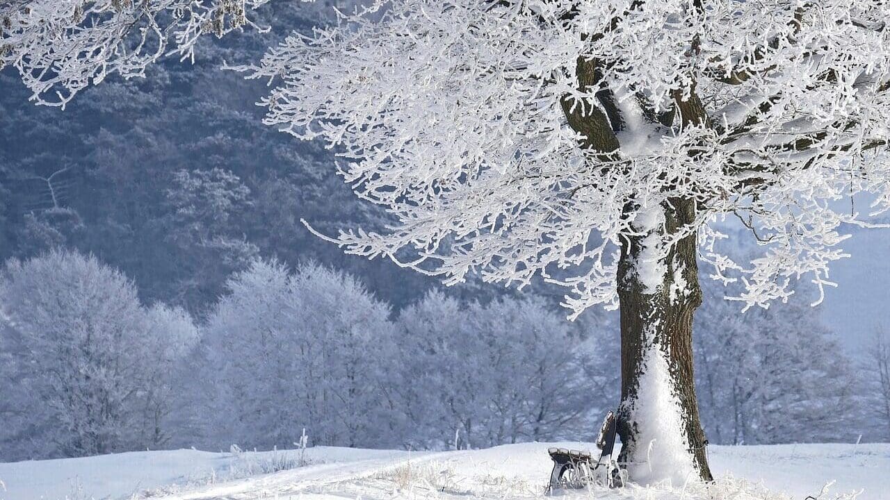 Zimní peklo na hřebenech Beskyd: Lysá hora hlásí 40 cm sněhu a nebezpečné poryvy větru