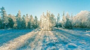 Březnový zvrat: Od víkendu se vrací sníh až do nížin, noční teploty spadnou pod nulu