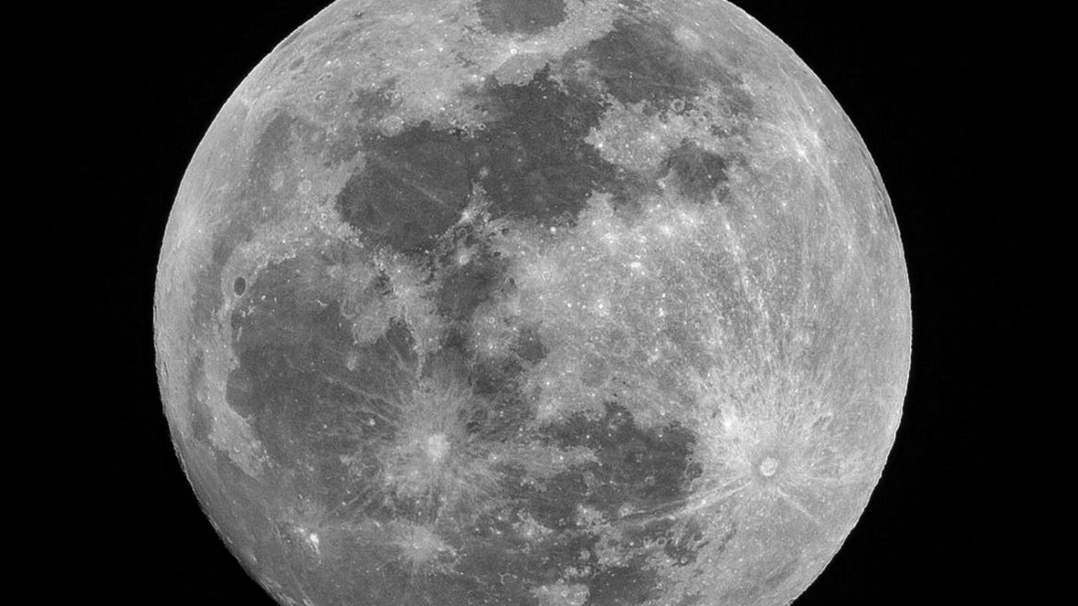 Cizrna na Měsíci? Vědcům se poprvé podařilo vypěstovat luštěninu v simulovaném měsíčním prachu