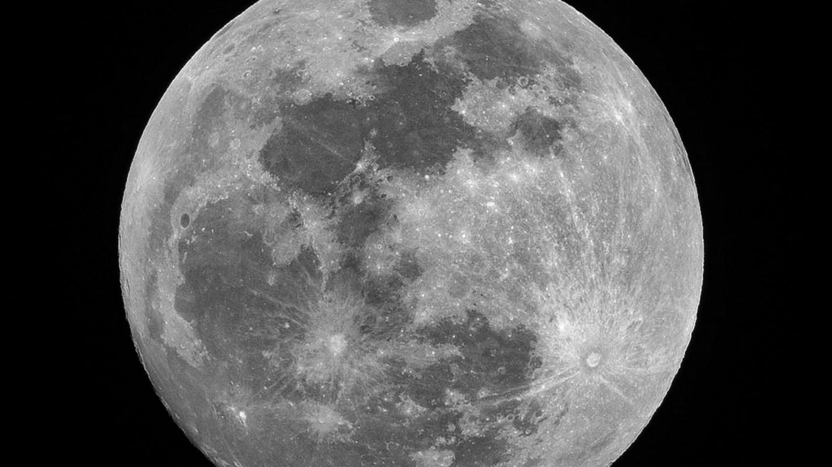 Cizrna na Měsíci? Vědcům se poprvé podařilo vypěstovat luštěninu v simulovaném měsíčním prachu