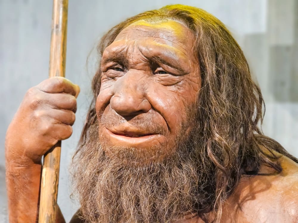 Egyptský nález čelisti Masripithecus nutí přehodnotit geografický původ linie lidoopů